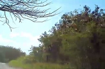 초콜릿셔츠룸 ↖김사랑Ø1Øn2393v1922 선릉 선릉역 그대를기다립니다 어떤마음으로