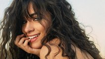 Camila Cabello Says Her Shawn Mendes Duet 'Señorita' Was Months in the Making