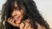 Camila Cabello Says Her Shawn Mendes Duet 'Señorita' Was Months in the Making