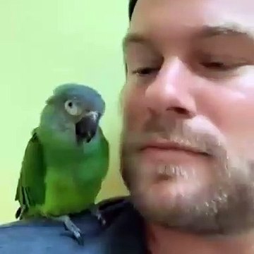 La complicité entre cet homme et son perroquet va vous donner le sourire au lèvres. Trop cute !