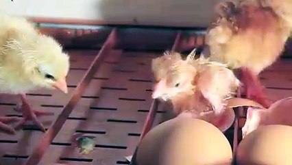 산청출장안마 -후불100%ョØ7ØM7575M0054｛카톡OMO78｝ 산청전지역출장안마 산청오피걸 산청출장마사지 산청안마 산청출장마사지 산청콜걸샵⻛≩ぁ