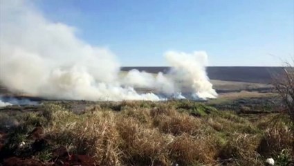 Maquinário auxilia em combate à incêndio ambiental de grandes proporções