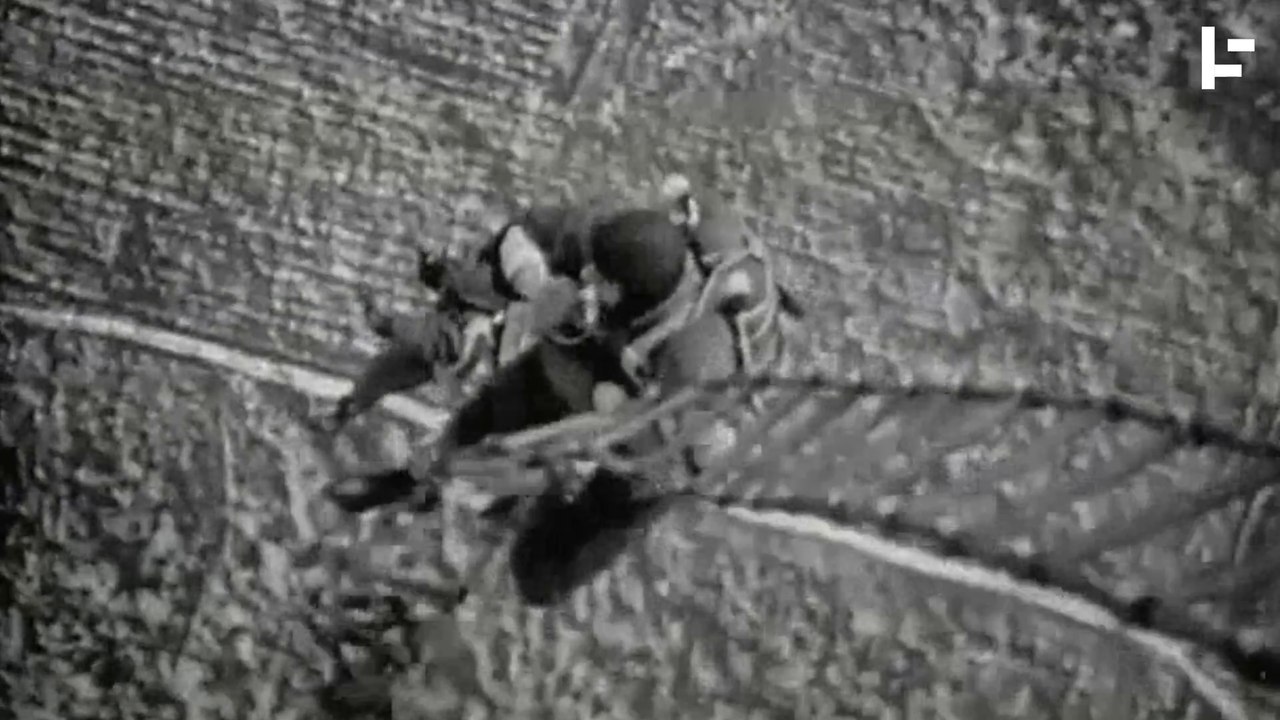 These Insane Stunts Prove That Life Is More Than a Balancing Act