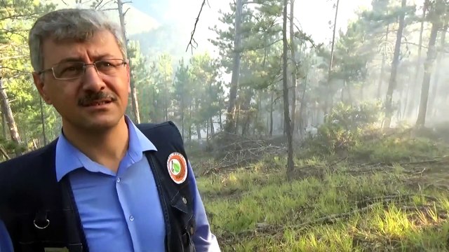 Boyabat'ta orman yangını (2) - SİNOP