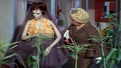 Green Acres S01E02 Lisa's First Day On The Farm