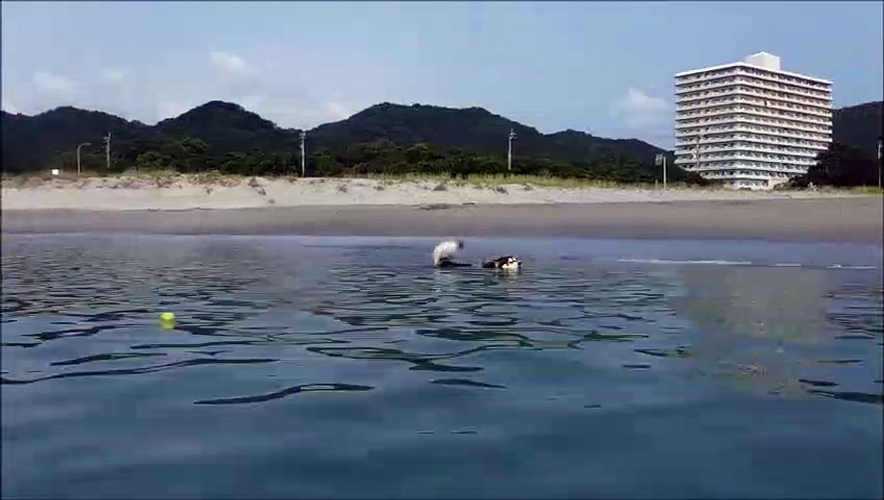 竜宮の磯