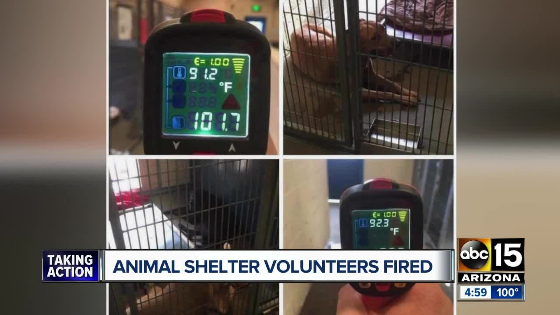 ⁣Animal shelter volunteers fired