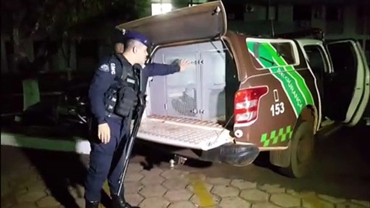 Jovem de 19 anos é preso acusado de agredir a companheira em Rio do Salto