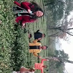 Childrens enjoying in ninital