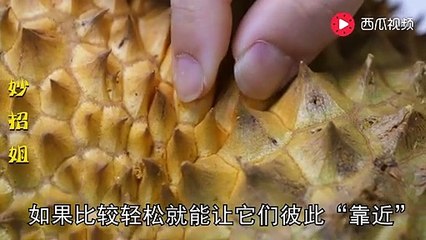 【Choose durian】挑选榴莲有窍门，记住这几个地方，以后不用愁，一挑一个准