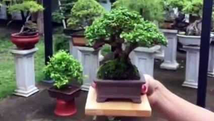 양양출장안마 -후불100%ョØ7ØE7575E0054｛카톡GD825｝ 양양전지역출장안마 양양오피걸 양양출장마사지 양양출장안마 양양출장마사지 양양출장콜걸샵안마 양양출장아로마 も≢⺟