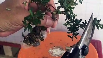 사상출장안마 -후불100%ョØ1ØM7685M6221｛카톡USA51｝ 사상전지역출장안마 사상오피걸 사상출장마사지 사상출장안마 사상출장마사지 사상출장콜걸샵안마 사상출장아로마 ∭≓⻝