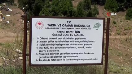- Rana Tavansensis kurbağası için Denizli'de seferberlik ilan edildi