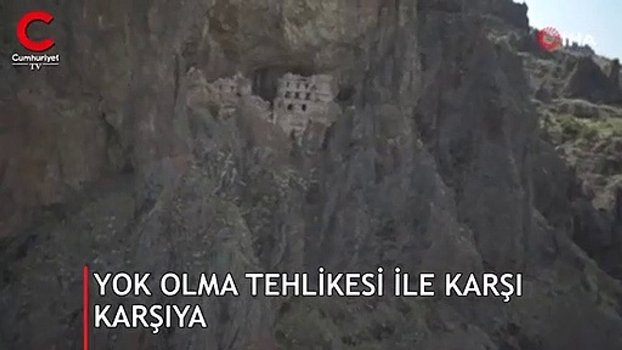 Herkesin ilgisini çekiyor... Yok olma tehlikesi ile karşı karşıya!
