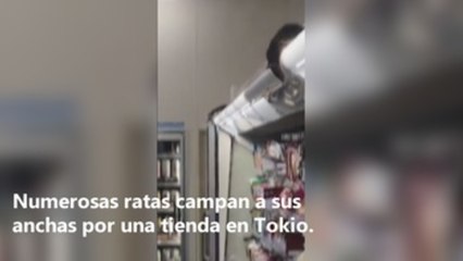 Cierran una tienda 24 horas de Tokio tras hacerse viral un vídeo con ratas