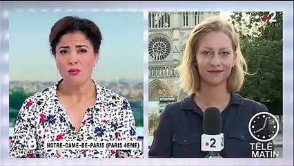 Notre-Dame de Paris : 175 dépistages du plomb dans le sang ont été réalisés