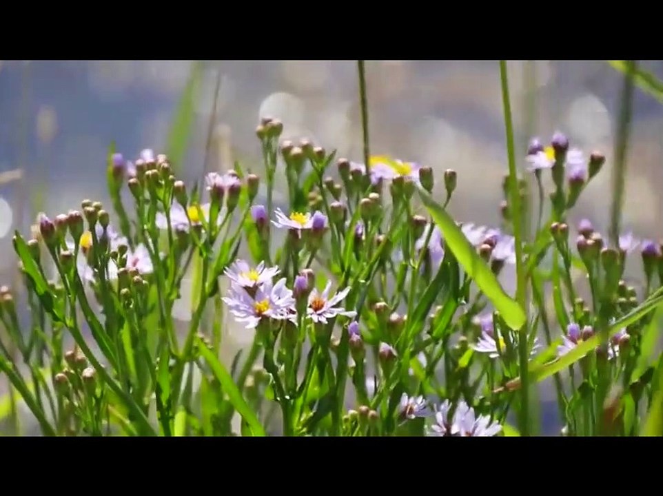 Loving-kindnesses, all around me (Vem är som Du)