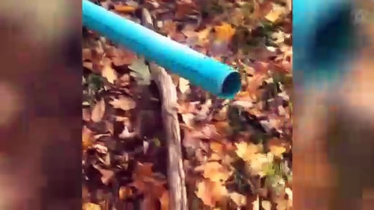 That's One Way to Do It!  | Funniest Fails | August 2019 AFV