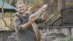 I Extract Venom From The World’s Deadliest Snakes | BEAST BUDDIES