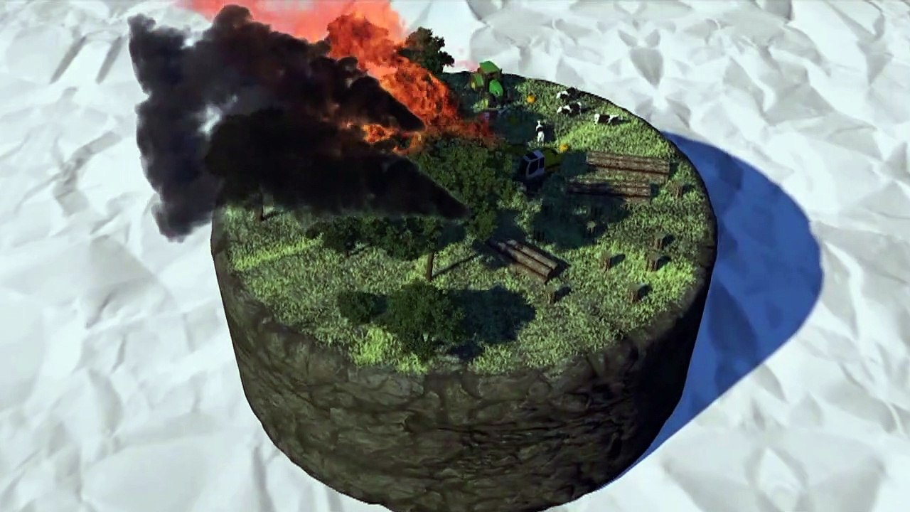 Videografik: entwaldung