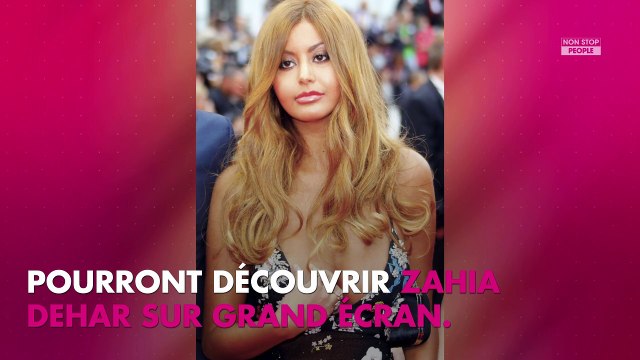 Zahia Dehar : Seins nus, elle fait grimper la température sur ses réseaux sociaux