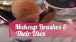 Types Of Makeup Brushes & Their Uses | Makeup for Beginners - POPxo