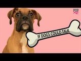 #SoCute: If Your Dogs Could Talk