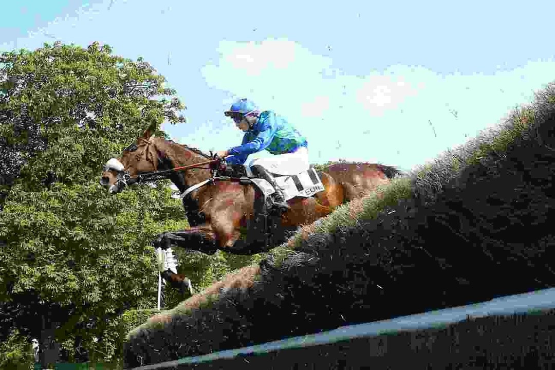 Equitación: Carreras de obstáculos