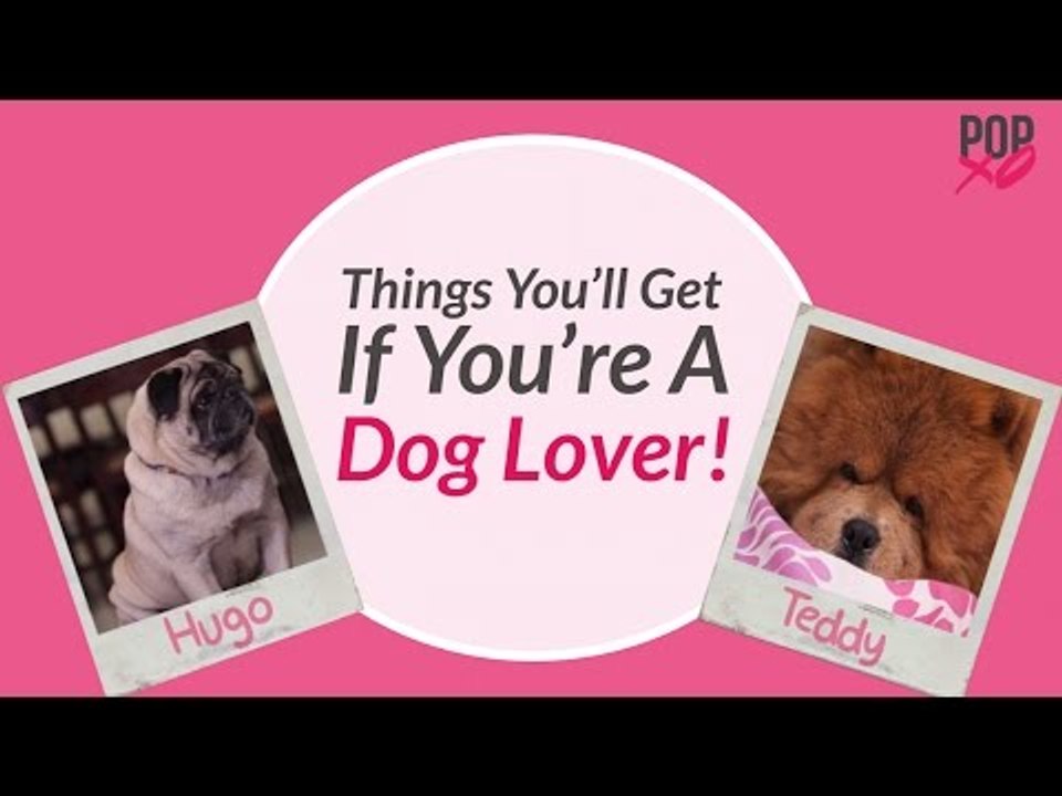 Things You’ll Get If You’re A Dog Lover! - POPxo Comedy