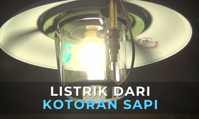 Warga Probolinggo Hadirkan Listrik dari Kotoran Sapi