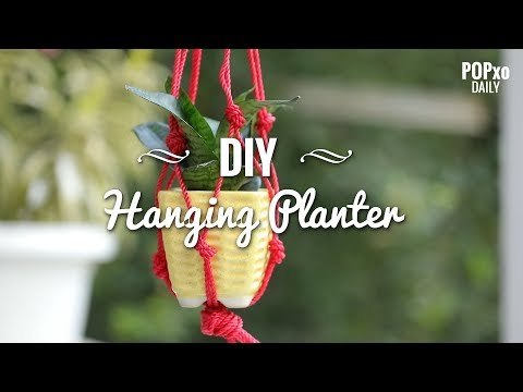 DIY Hanging Planter - POPxo