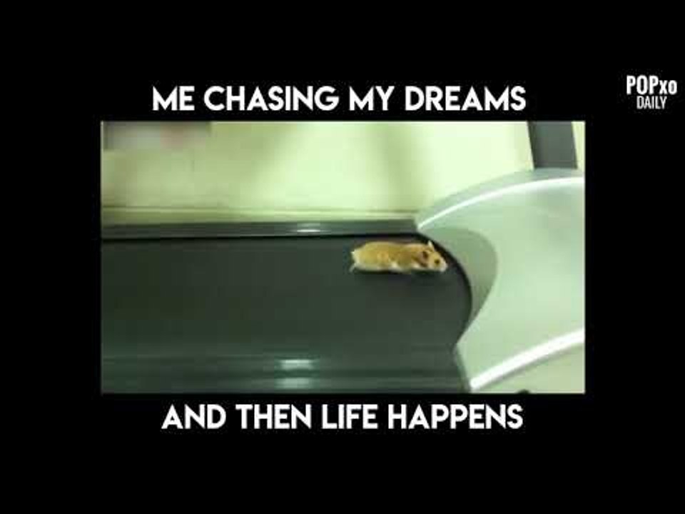 Me Chasing My Dreams And Then Life Happens - POPxo