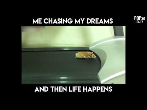 Me Chasing My Dreams And Then Life Happens - POPxo