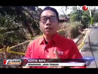 Misteri Pohon Sengon, 'Tersangka' Listrik Padam Massal