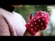 DIY Pearl Studded Gloves - POPxo Fashion