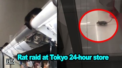 Tokyo 24-hour store closes after rat raid video goes viral