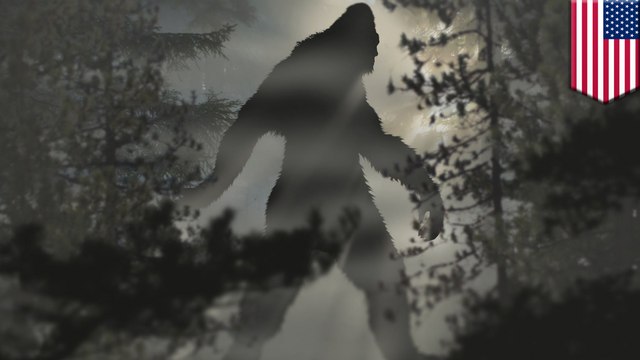 Man fires gun at national park over Bigfoot sighting