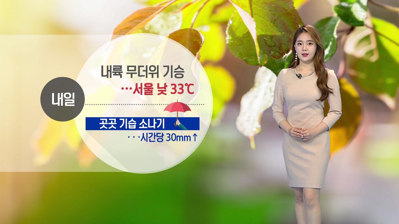 [날씨] 내륙 무더위 기승...곳곳 기습 소나기 / YTN
