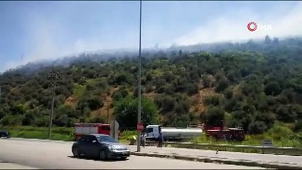 Bursa Kestelde orman yangını