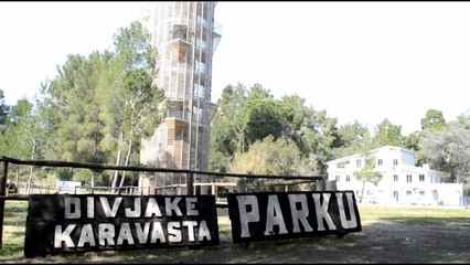 'Qetësi dhe mrekulli'| Turistët mahniten nga Divjaka: Perlë e Shqipërisë