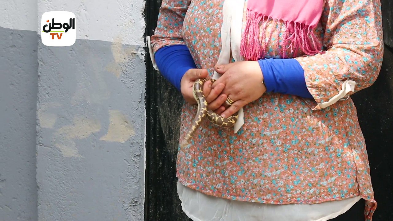 صائدات الثعابين.. حياة في حضن الأفاعي