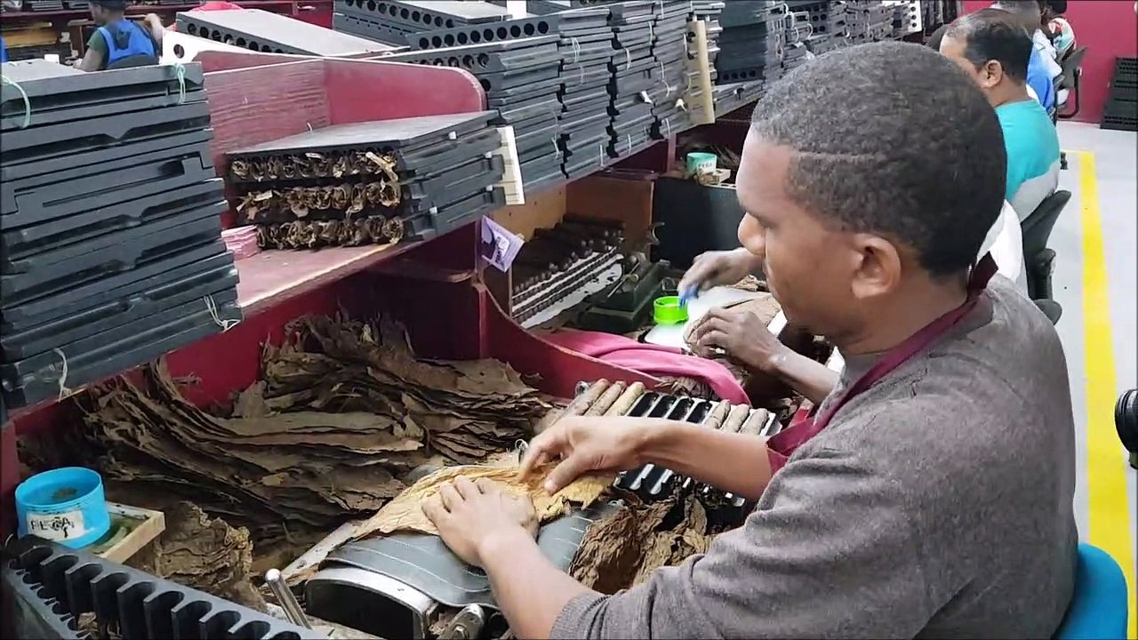 La fabrication des cigares en République dominicaine
