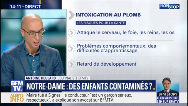 Intoxication au plomb autour de Notre-Dame: quels sont les risques?