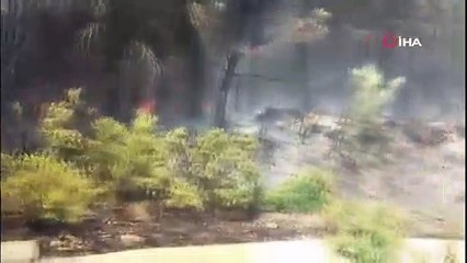 Bodrum'da orman yangını: Bazı ev sahipleri evlerini terk etti