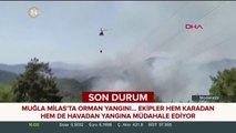 Muğla'da orman yangınından ilk görüntüler