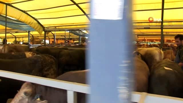 İBB, kurban satış ve kesim yerlerini denetliyor