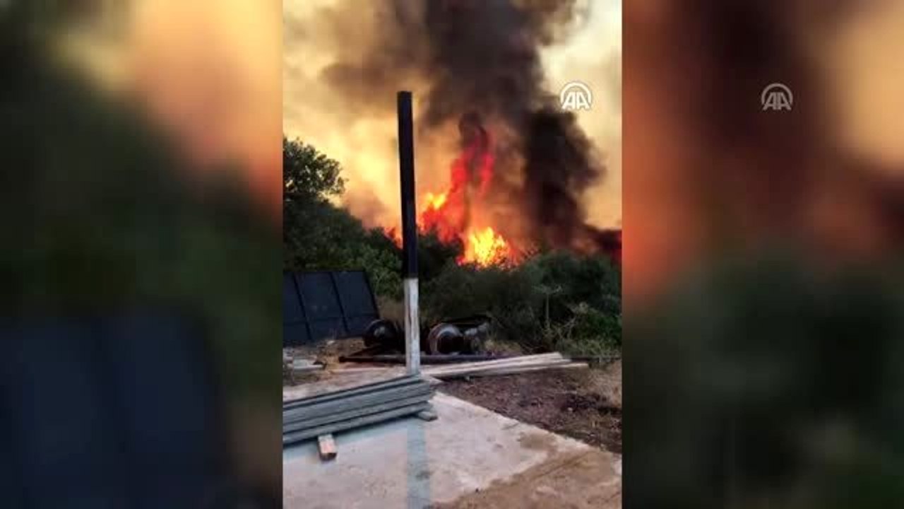 Bodrum'da orman yangını (2)