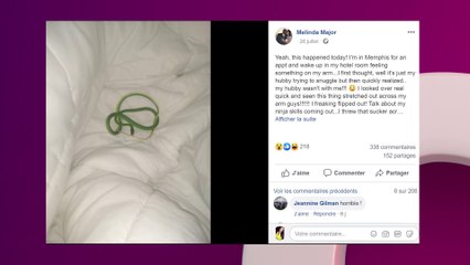 États-Unis : cette jeune femme se réveille à l’hôtel avec un serpent enroulé autour du bras