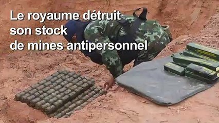 La Thaïlande détruit les restes de son stock de mines antipersonnel