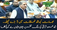 FM Shah Mehmood Qureshi announced 5 major decisions in relations with India